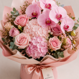Blush Pink Orchid