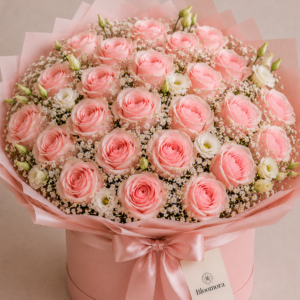 Delicate Pink Rose