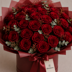 Elegant Red Rose